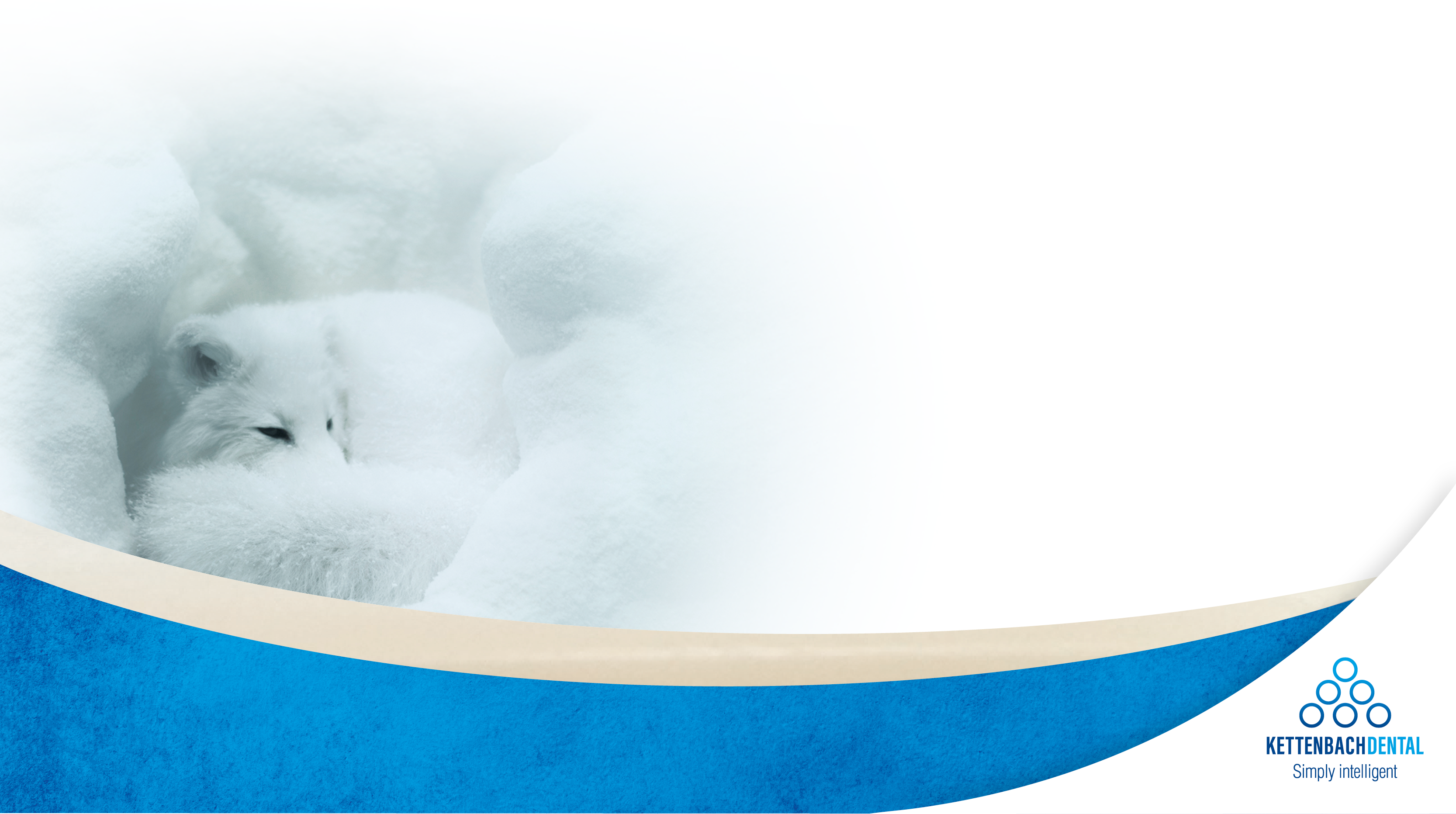 Graphic: Kettenbach swoosh